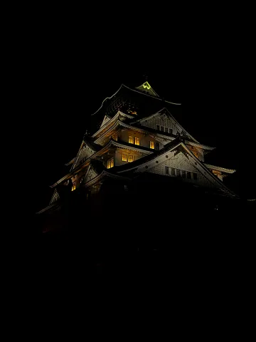 Osaka Castle's tiered rooftops glowing gold against the night sky.