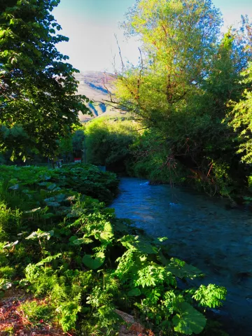 A water spring in southern Albania.