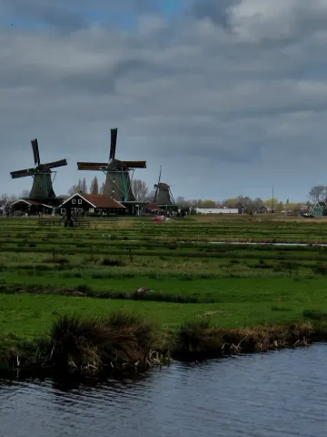 Traditional windmills standing over green polder fields and a canal at Zaanse Schans.
