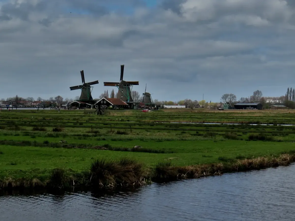 Traditional windmills standing over green polder fields and a canal at Zaanse Schans.
